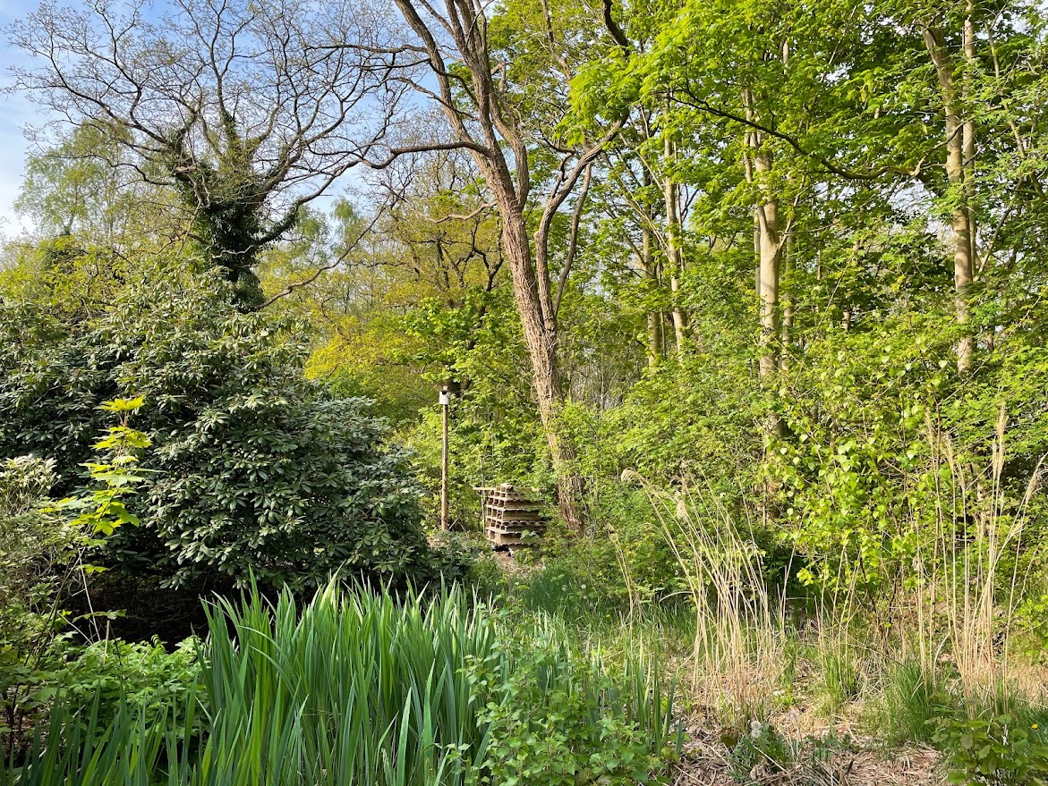 Bos met insectenhotel